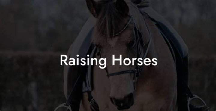 Is owning horses hard?