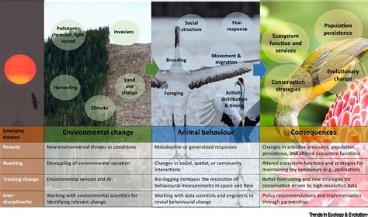 Is personality affected by environment?