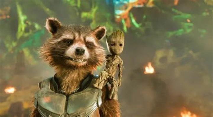 Is Rocket Raccoon a raccoon?