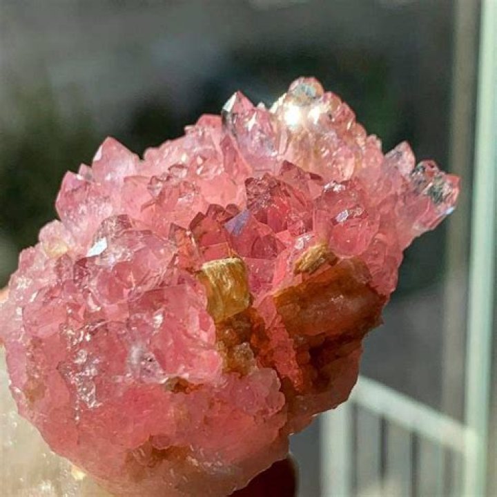 Is Rose Quartz alive?
