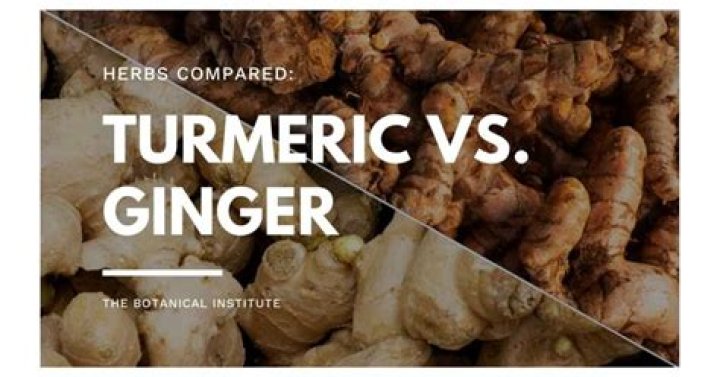 Is turmeric the same as ginger?