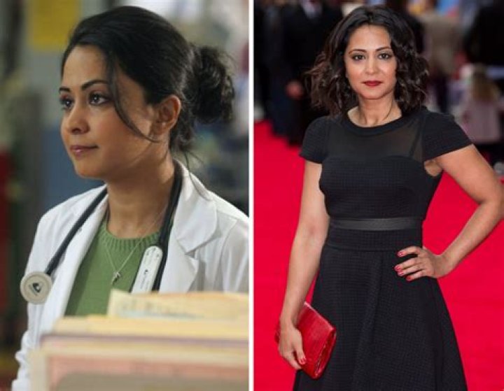 Was Neela pregnant on ER?