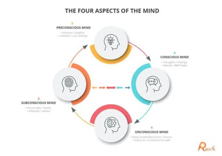 What are four 4 aspects of cognitive functioning?