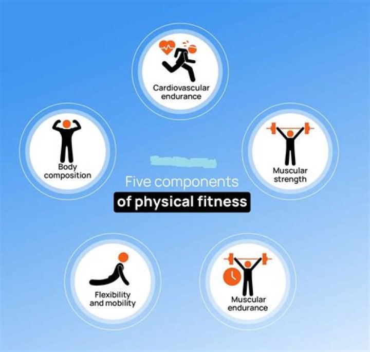 What are the 3 components of a well rounded fitness program?