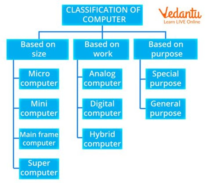 What are the 4 computer processes?