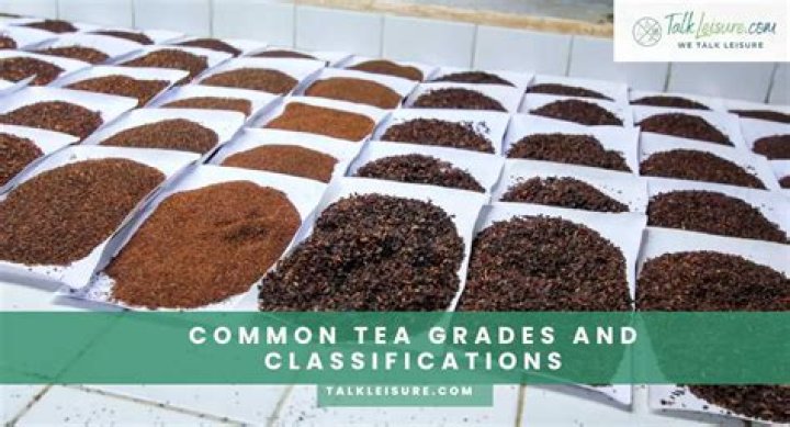 What are the 4 main grades of tea?
