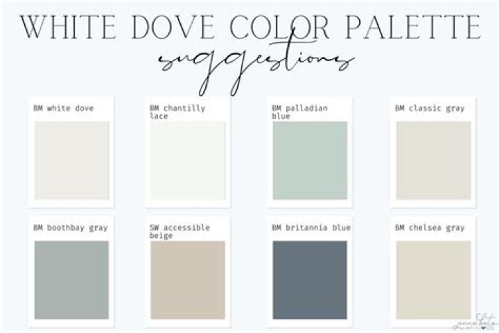 What are the undertones of white dove?