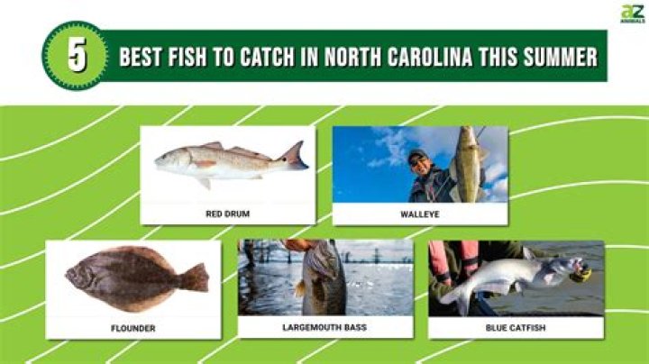 What can you catch in a shower?