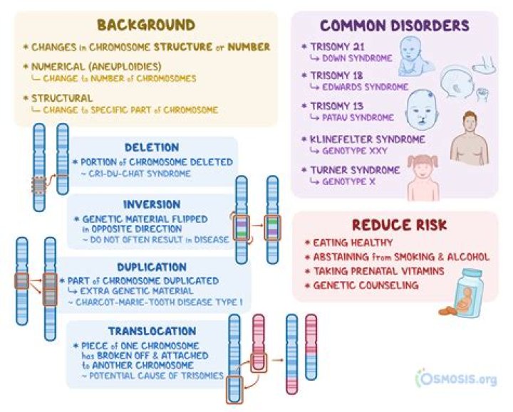 What chromosomal abnormality is responsible for Jacobsen syndrome?