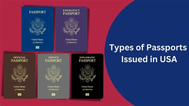 What colour is American passport?
