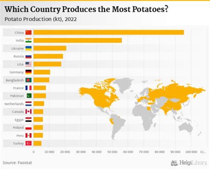 What company uses the most potatoes?