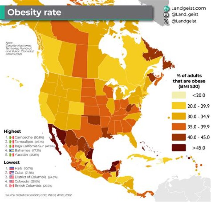 What country has lowest obesity rate?
