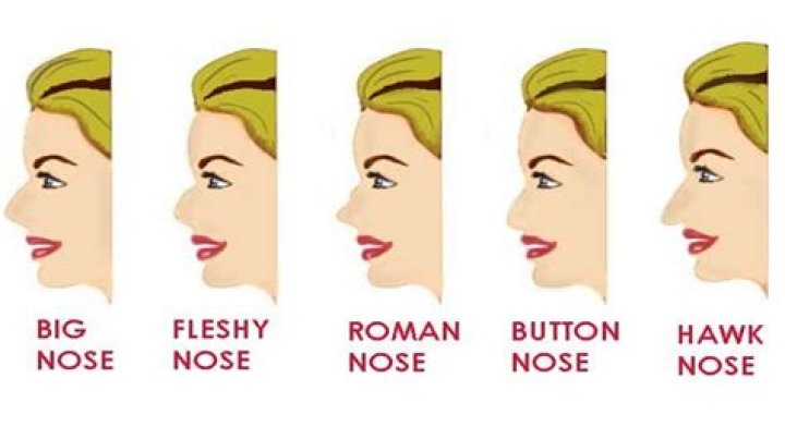 What do big noses mean?