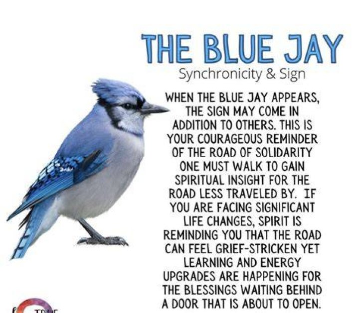 WHAT DO BLUE JAYS mean in the Bible?