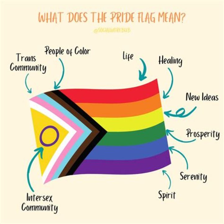What do the brown and black stripes on the pride flag mean?