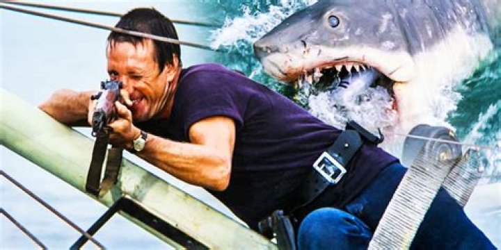 What does Brody say at the end of Jaws?