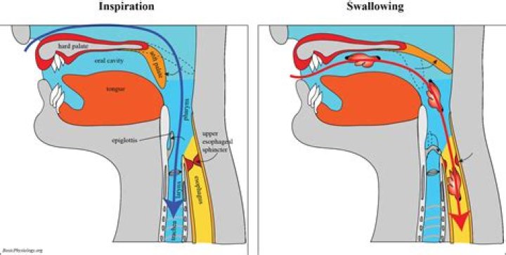 What emotion is held in the throat?