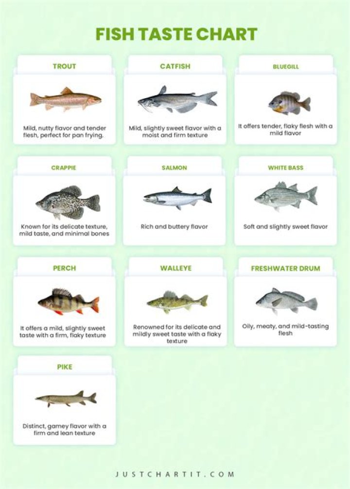 What fish is the safest to eat?