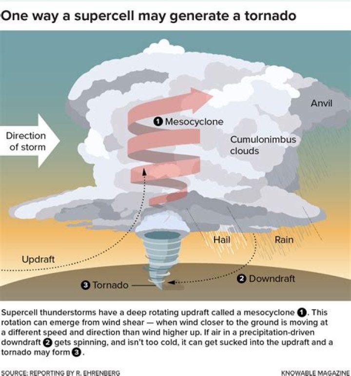 What happens to animals during tornadoes?