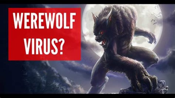 What happens when a vampire bites a werewolf?