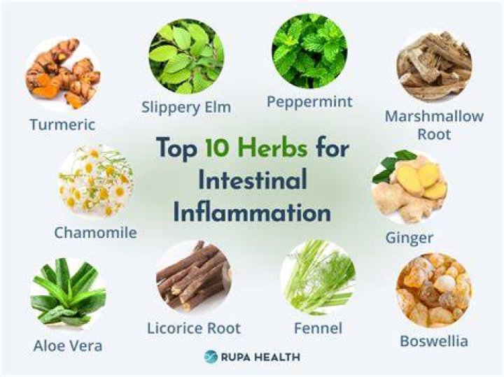 What herb is used to eliminate intestinal parasites?