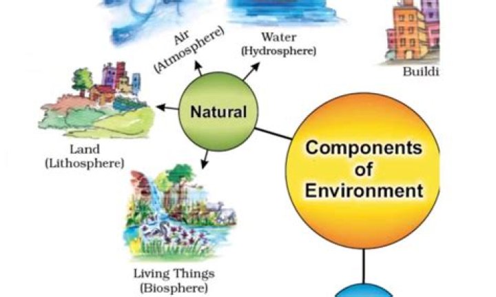 What is a biological environment?
