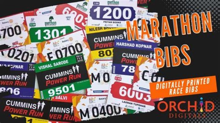 What is a race number?