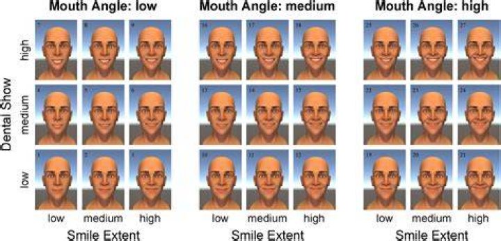 What is a slight smile called?