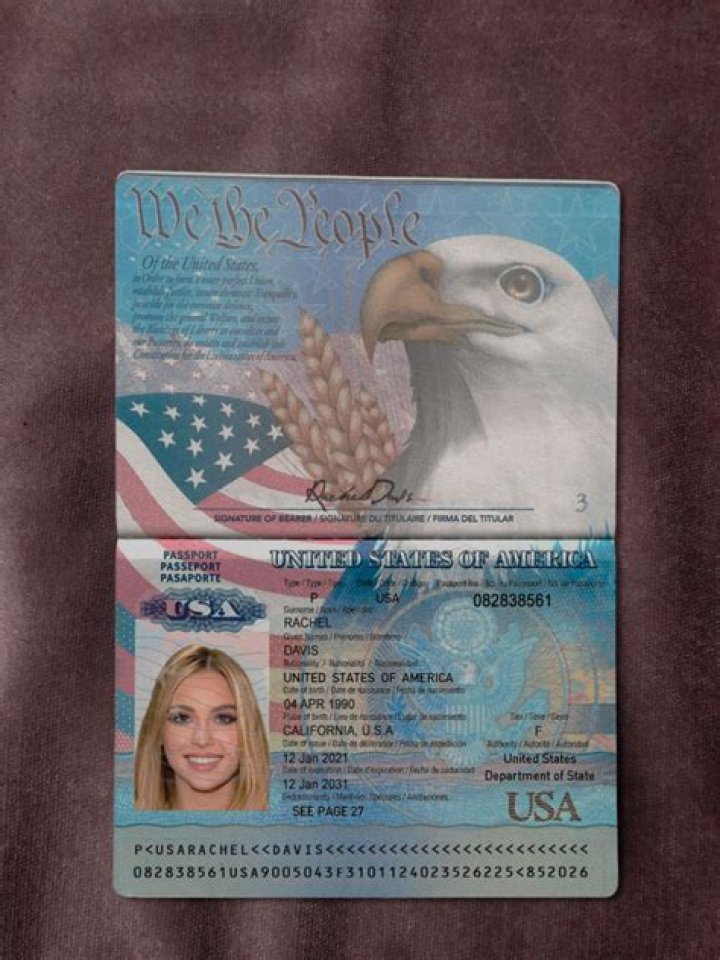 What is blue passport in USA?