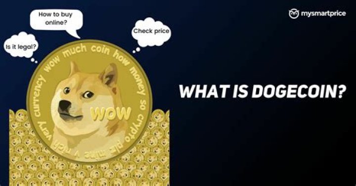 What is Dogecoin used for?