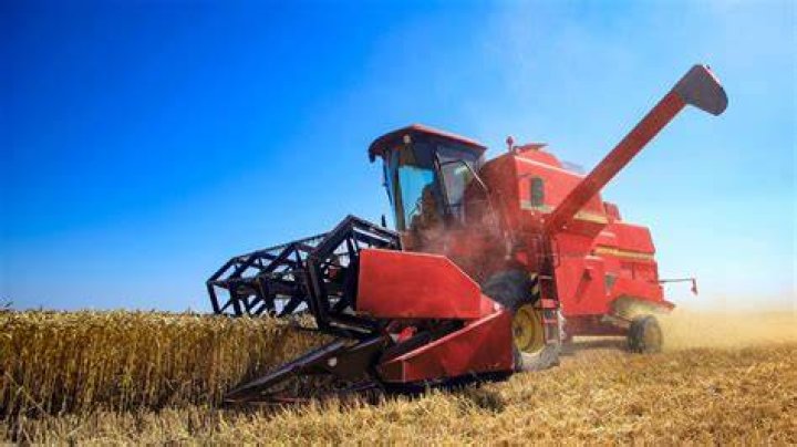 What is machine harvesting?