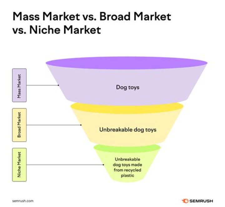 What is niche market and mass market?