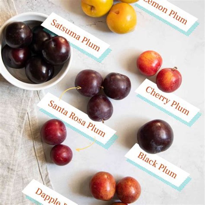 What is plum called in Japanese?