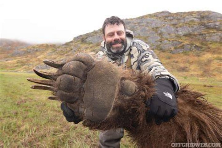 What is the best gun to carry in bear country?
