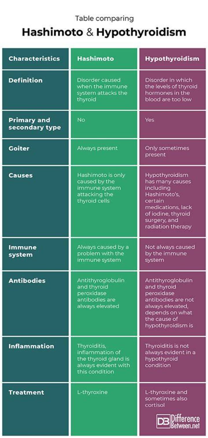 What is the difference between Hashimoto's and hypothyroidism?