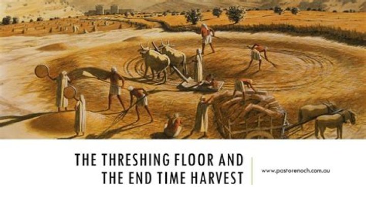 What is the meaning of threshing floor?