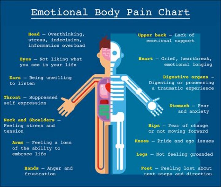 What is the most painful part of your body to wax?