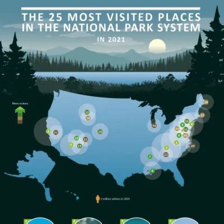 What is the most visited national forest?