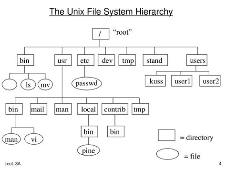 What is Unix bin?