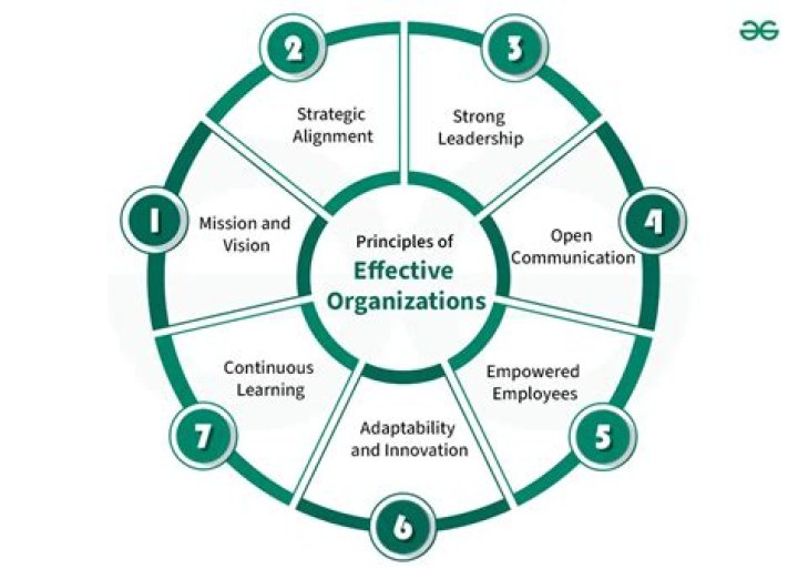 What makes an effective organization?