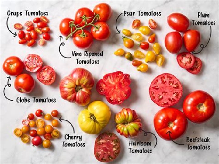 What shape are Roma tomatoes?
