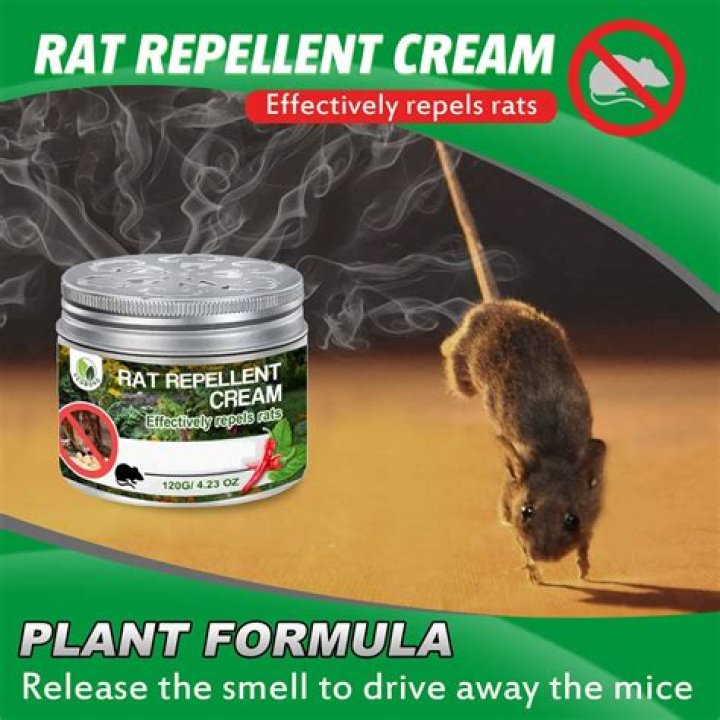 What spices can rats eat?