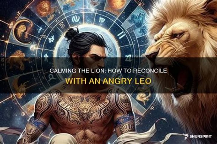 What to do if a Leo is mad at you?