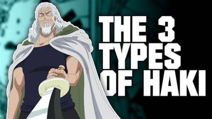 What type of Haki does Sanji of?