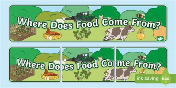 Where does bogan come from?