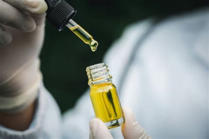 Where does CBD oil come from?