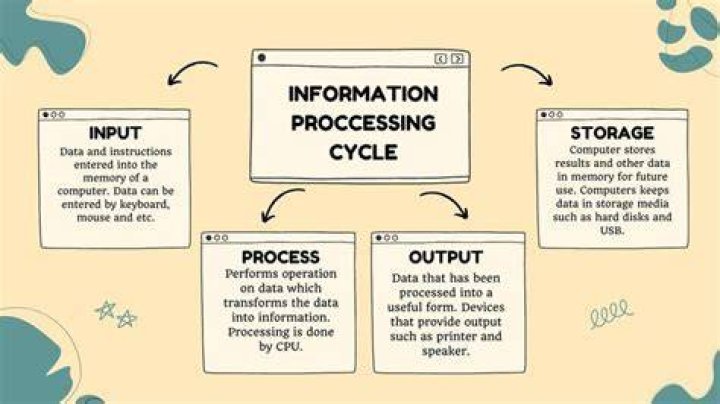 Which are the 4 steps of information processing Mcq?