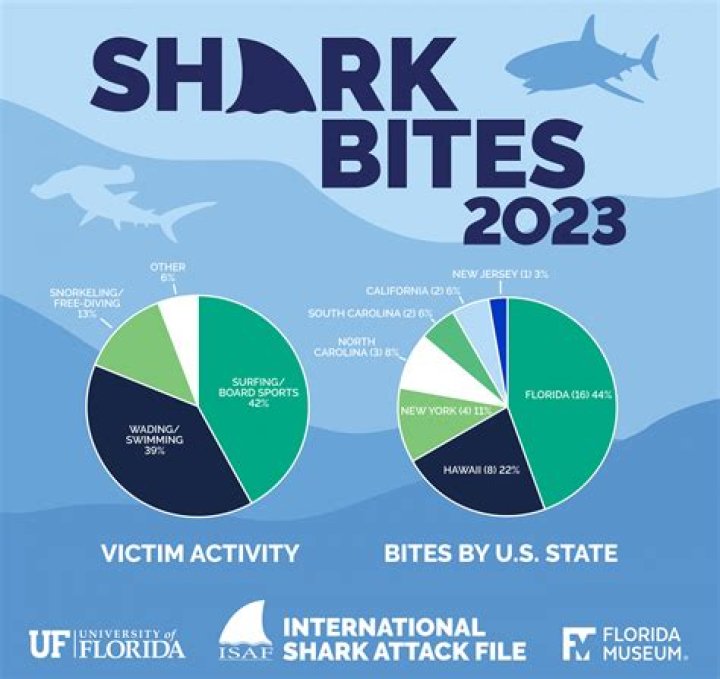 Which Florida beach has the most shark attacks?