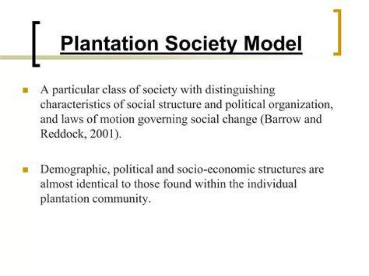 Which group of Caribbean thinkers is most associated with the plantation society model?