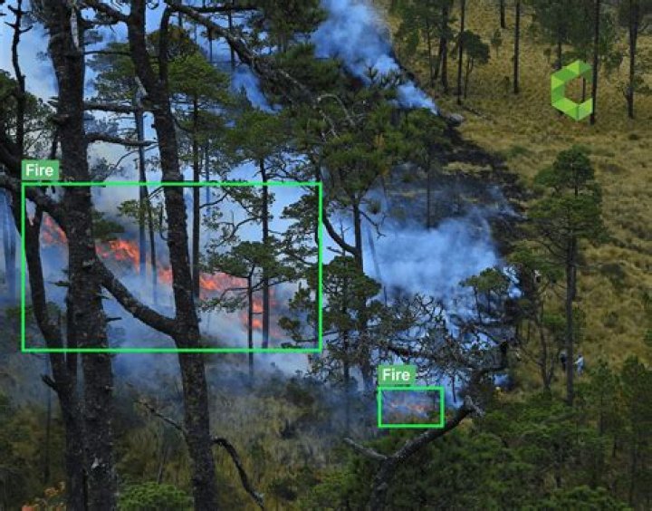 Which IoT level is used for forest fire detection?